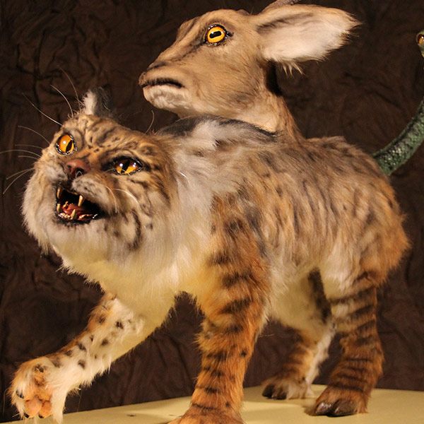 CHIMERA