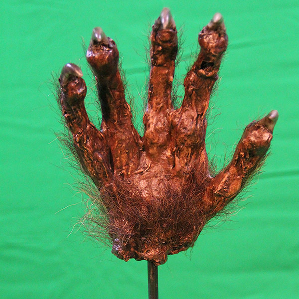 HAND OF HENRI JEAN